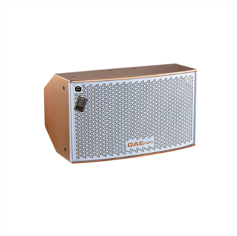 GAEpro音響：全頻專業十寸卡包音箱