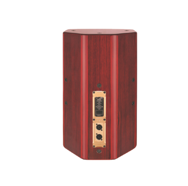 【AE-10】10寸全頻揚聲器（qì）音箱